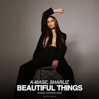 A-Mase — Beautiful Things (Extended Mix) Ft Sharliz — обложка